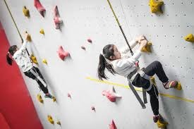 日本职棒与媒体关系