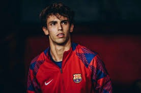 网红迅猛龙特蕾莎考研上岸，此前停播三个月备考2亮11回复