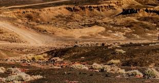 卡拉格：利物浦必须冬窗购买一名中后卫，队内储备已岌岌可危